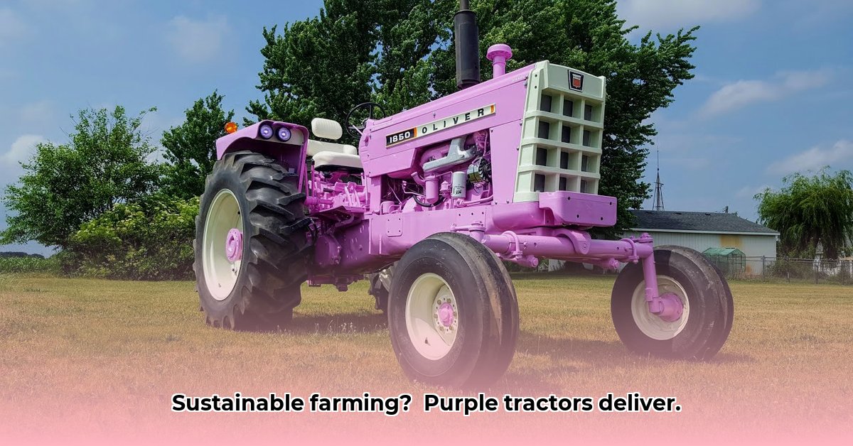 tractor-purple